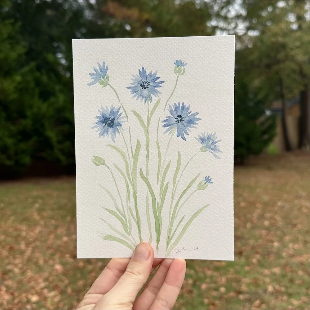 Blue Cornflowers