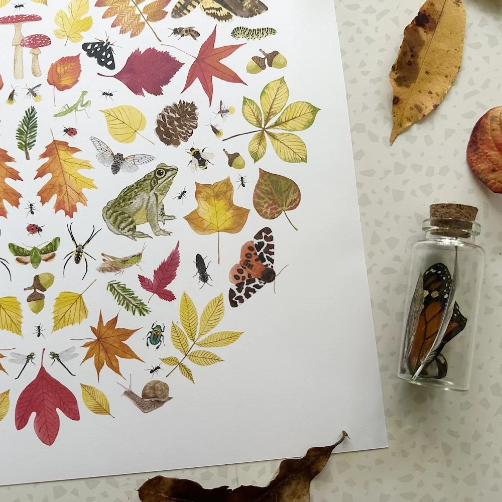 leave the leaves 3.jpeg