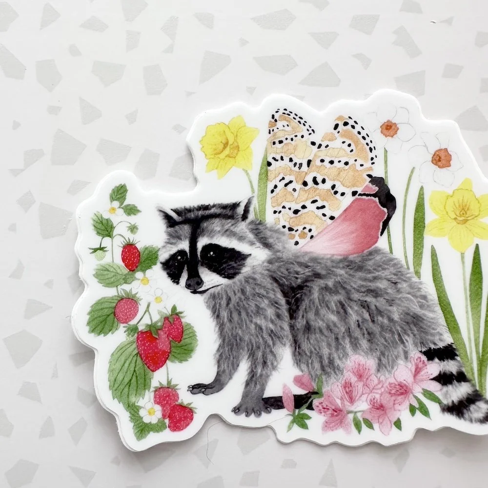 raccoon 3.jpeg