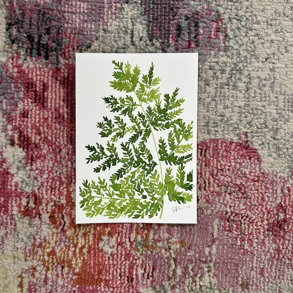 Fern #1 5x7
