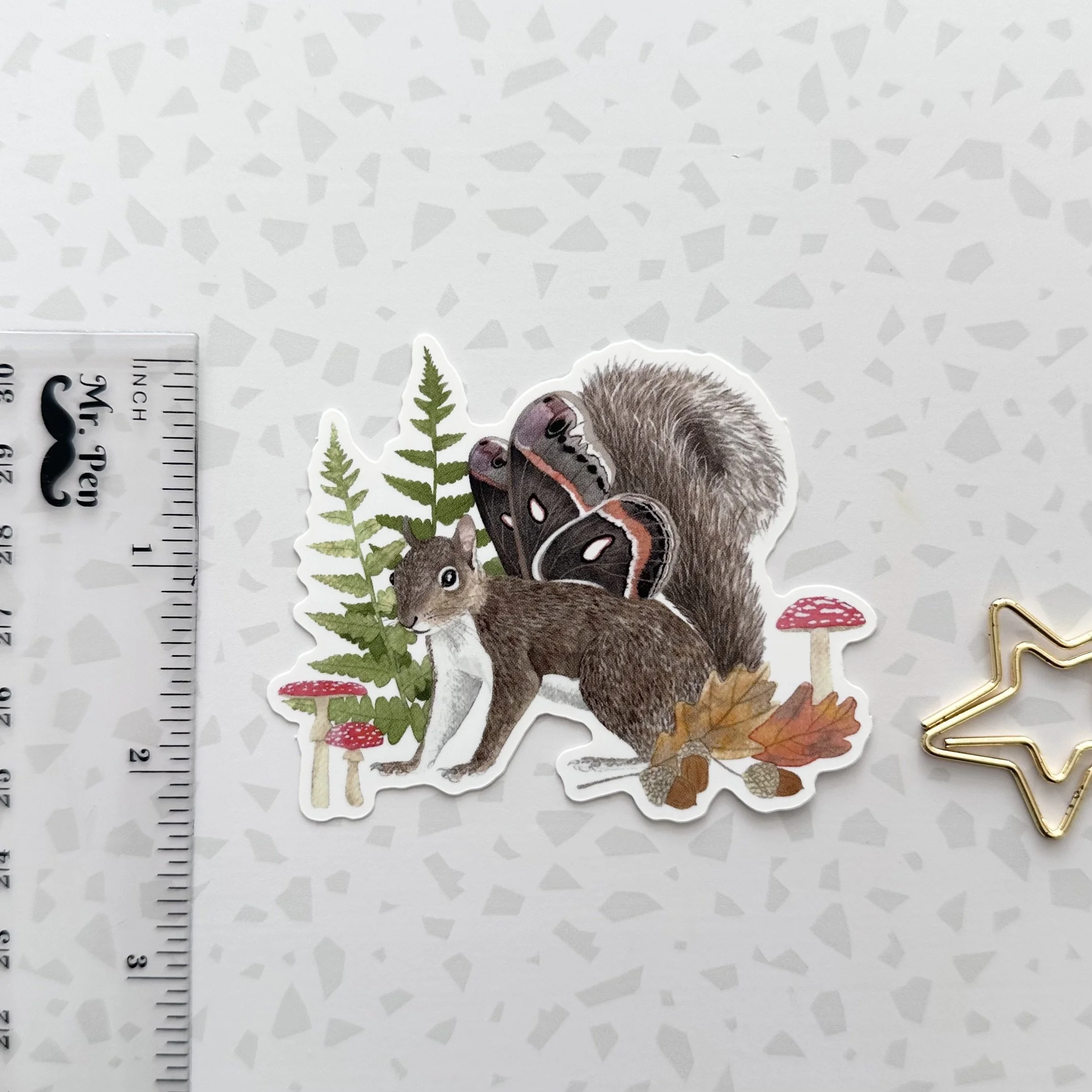 squirrel 3.jpeg