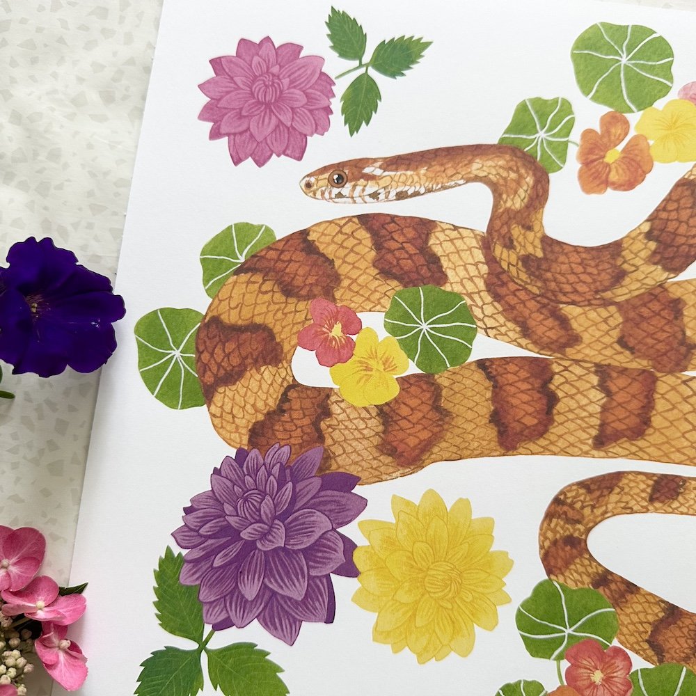 snake framed 4.jpeg