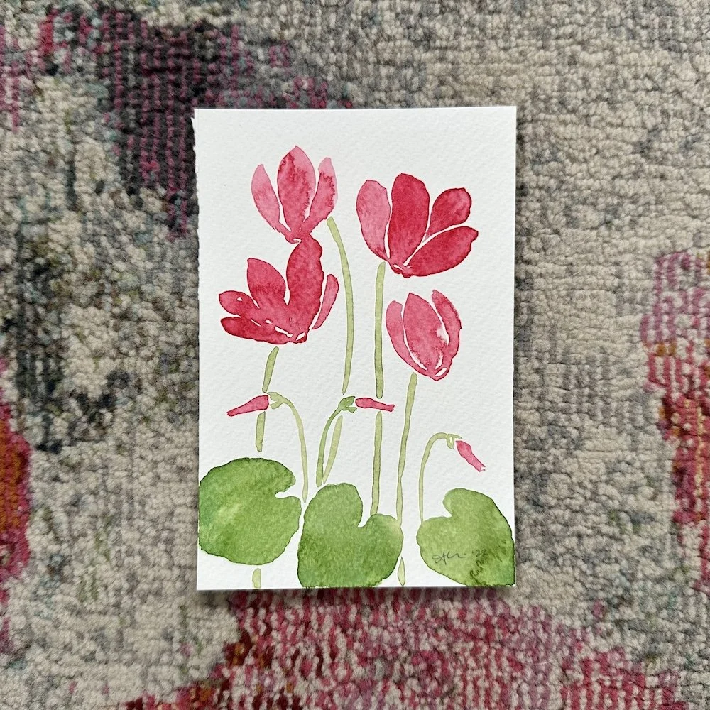 Red Cyclamen 4x6