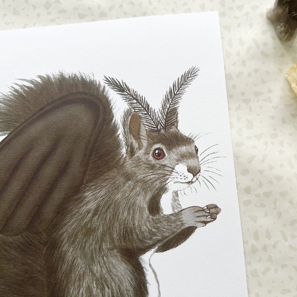 mothman squirrel 2.jpeg