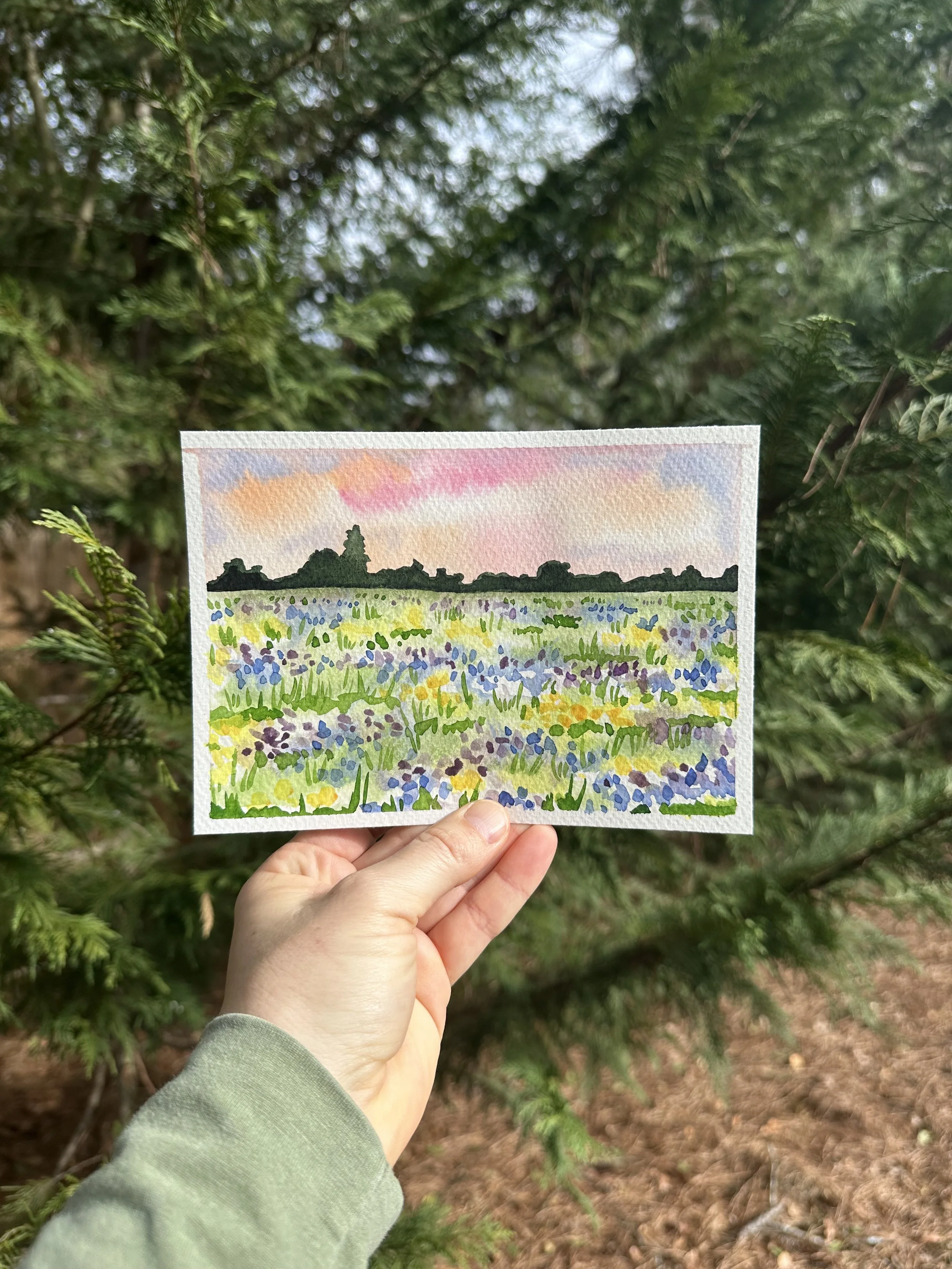 sunset floral meadow.jpeg