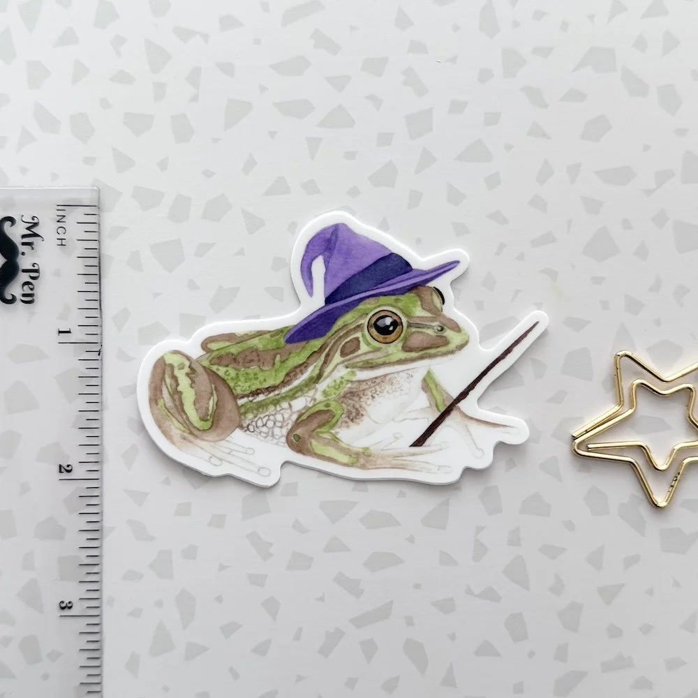frog 3.jpeg