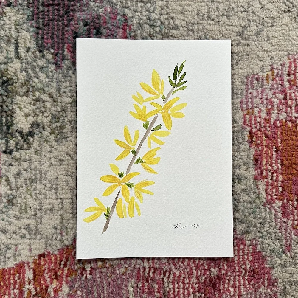 Forsythia 5x7