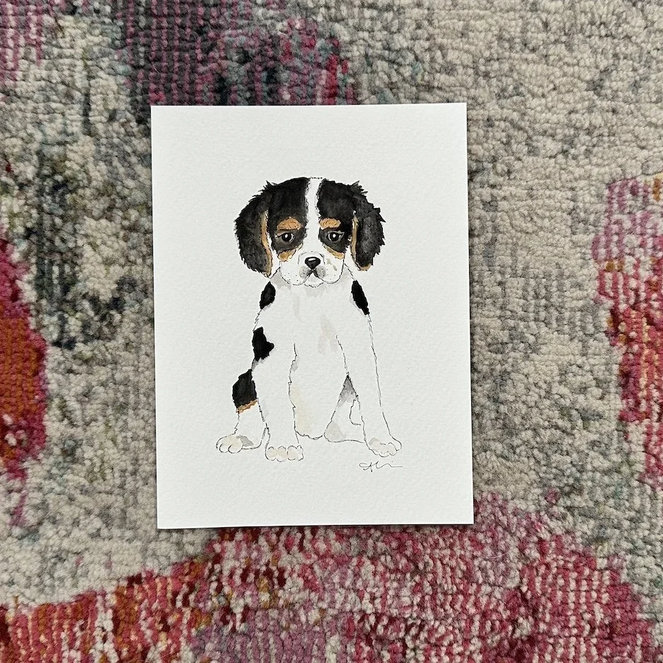 KC Cavalier Spaniel 4x6
