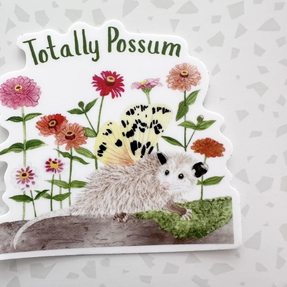 totally possum 2.jpeg