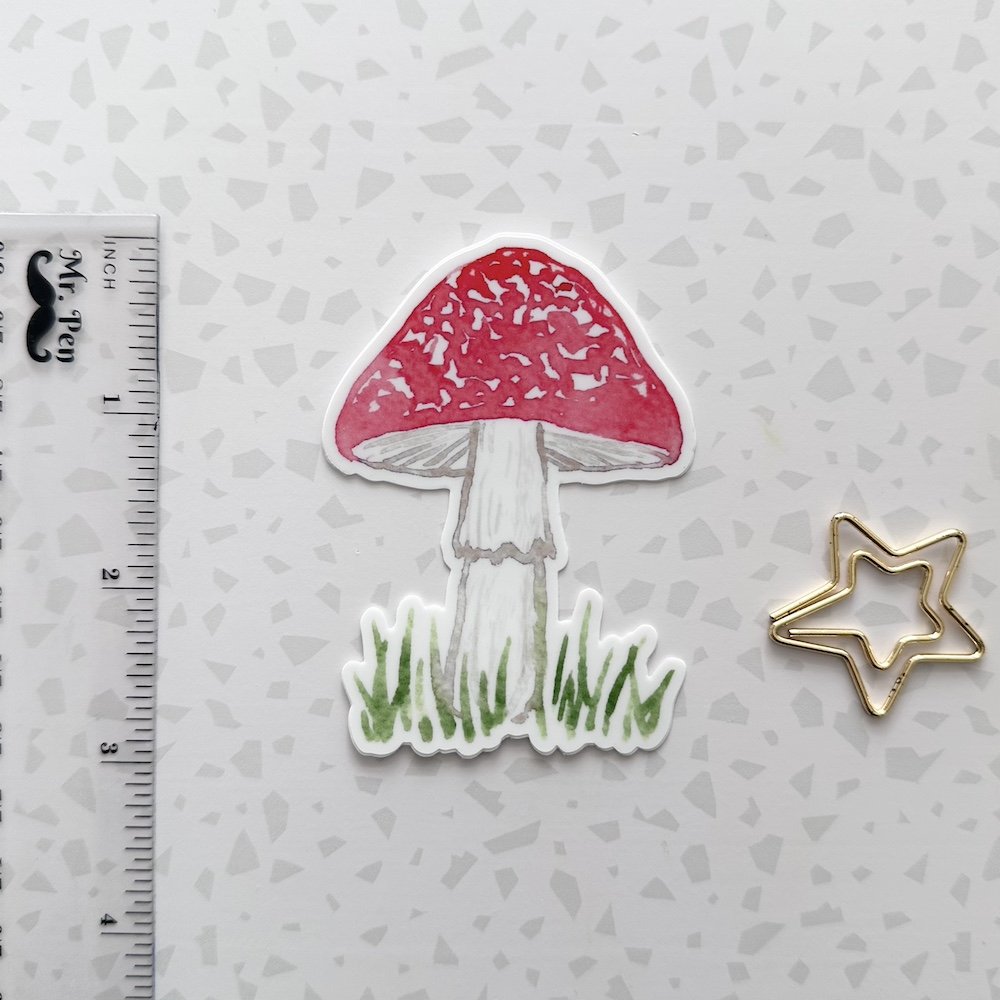 mushroom 3.jpeg