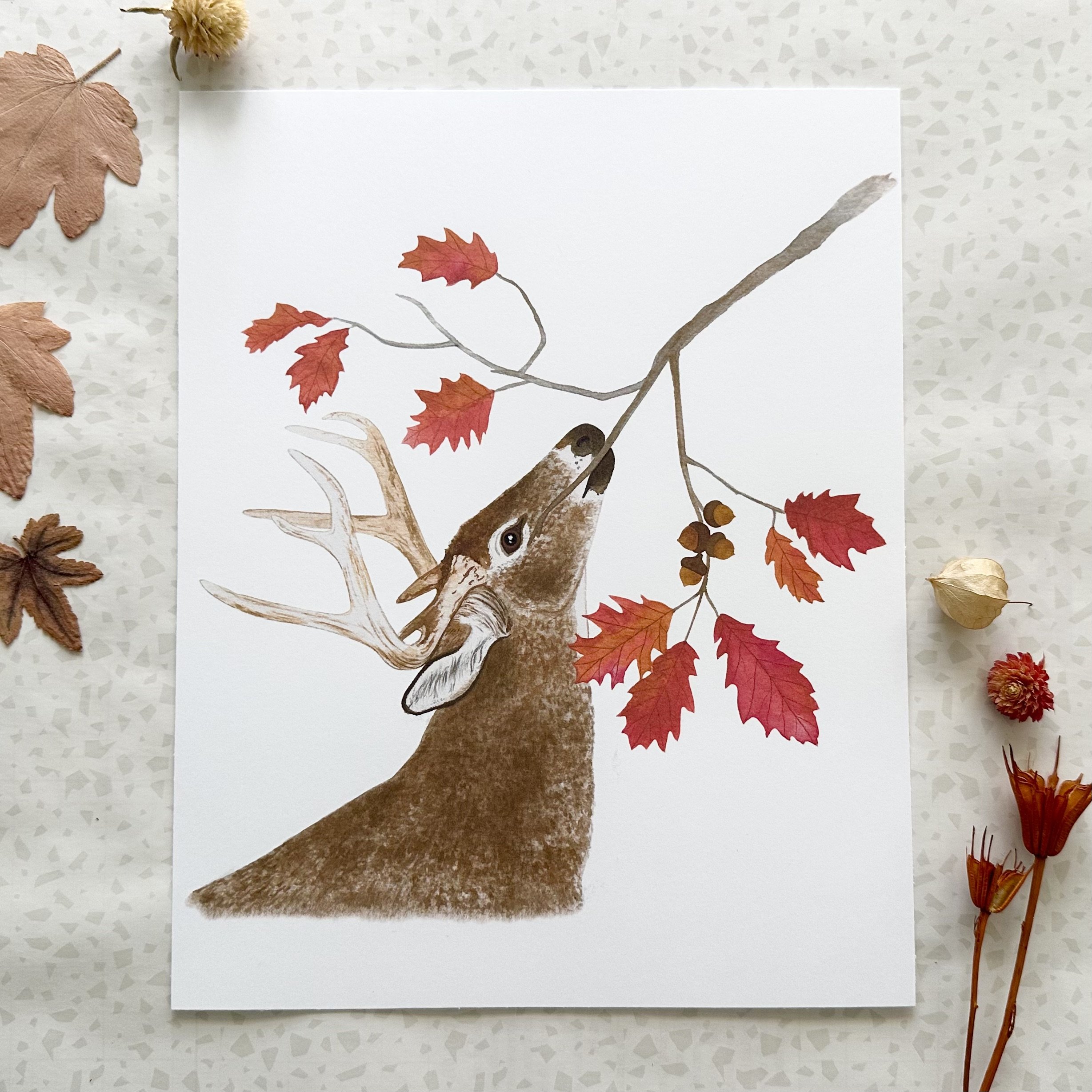 buck with leaves 1.jpeg
