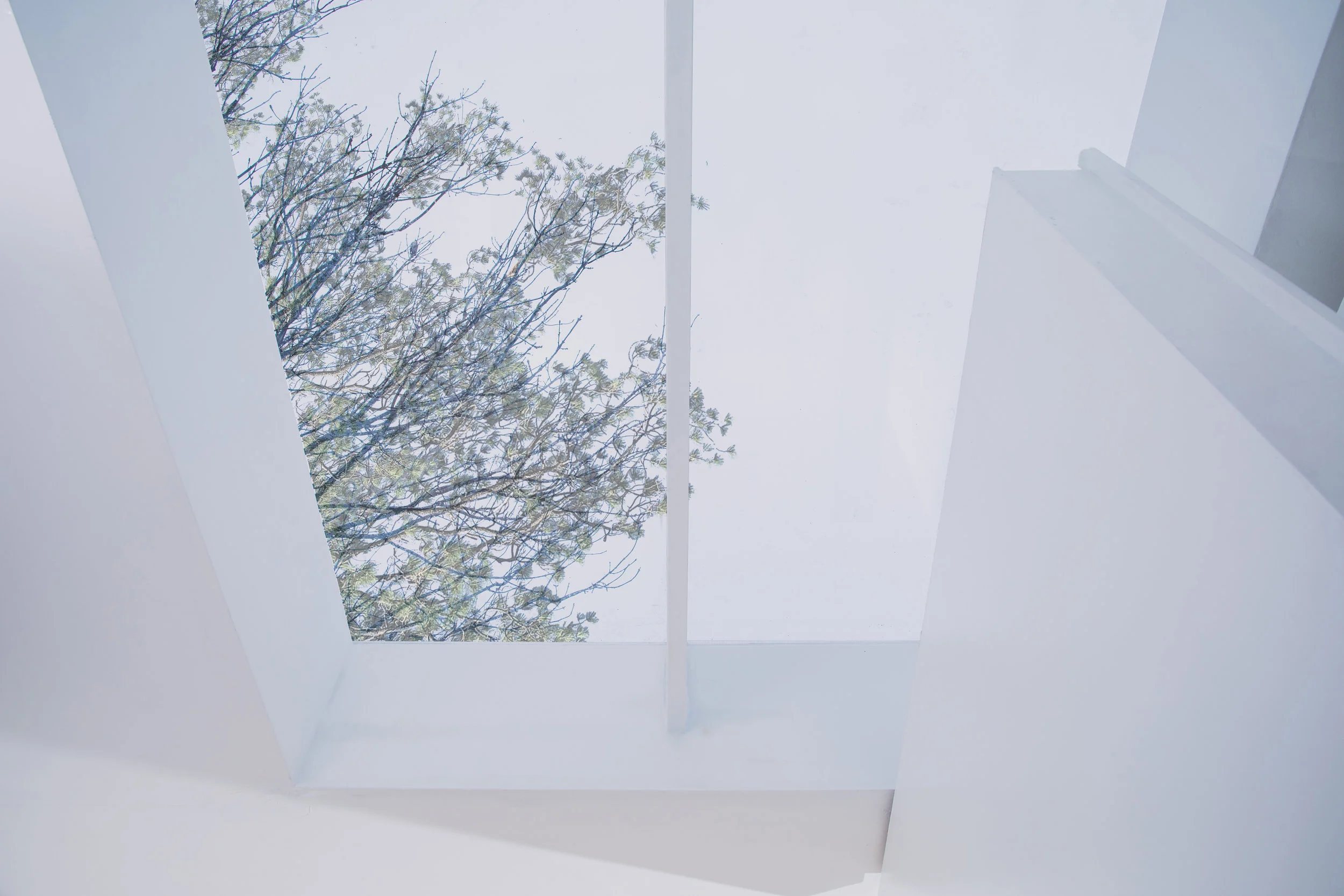 Roof Extension 01.jpg