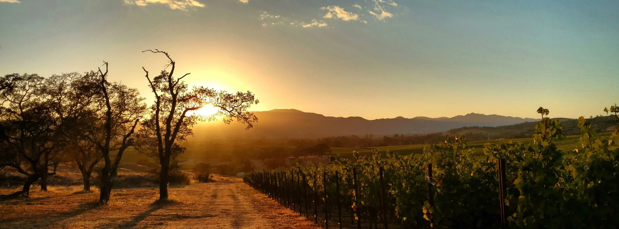 39° Anderson Valley — Expression 38°