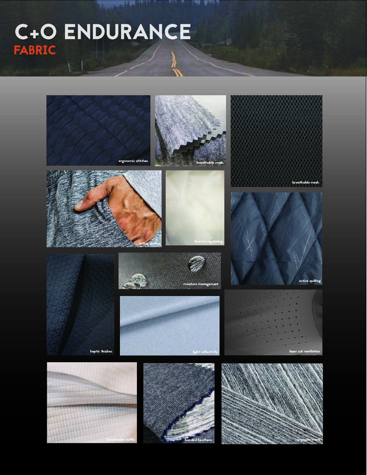 Artboard 14@150x-100.jpg