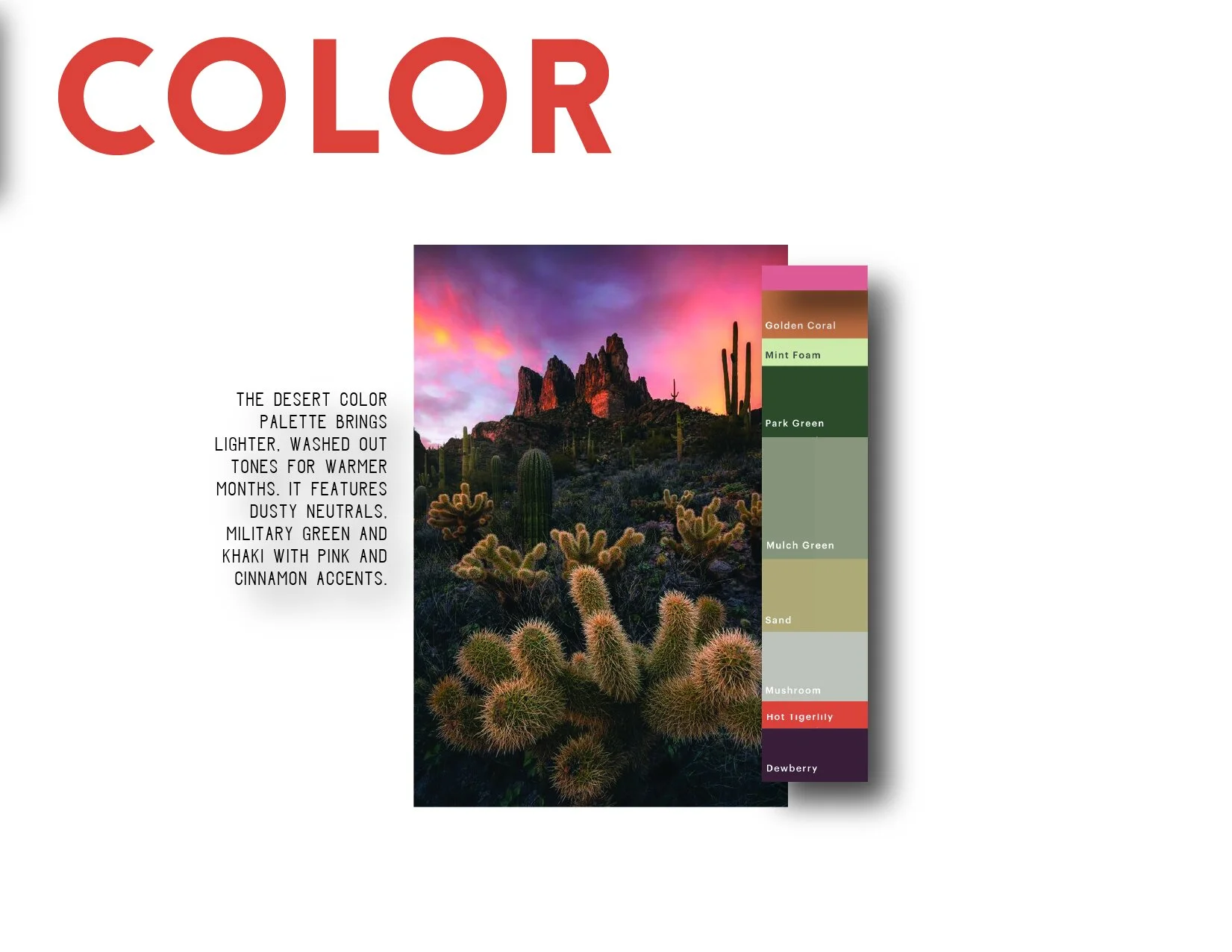 Artboard 11@150x-100.jpg