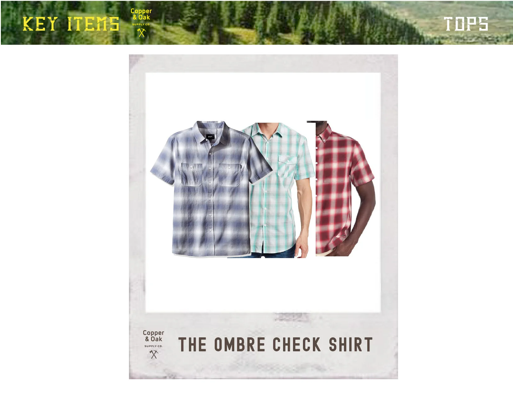 Artboard 16@150x-100.jpg