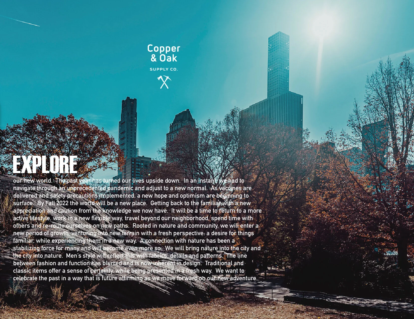 Artboard 2@150x-100.jpg