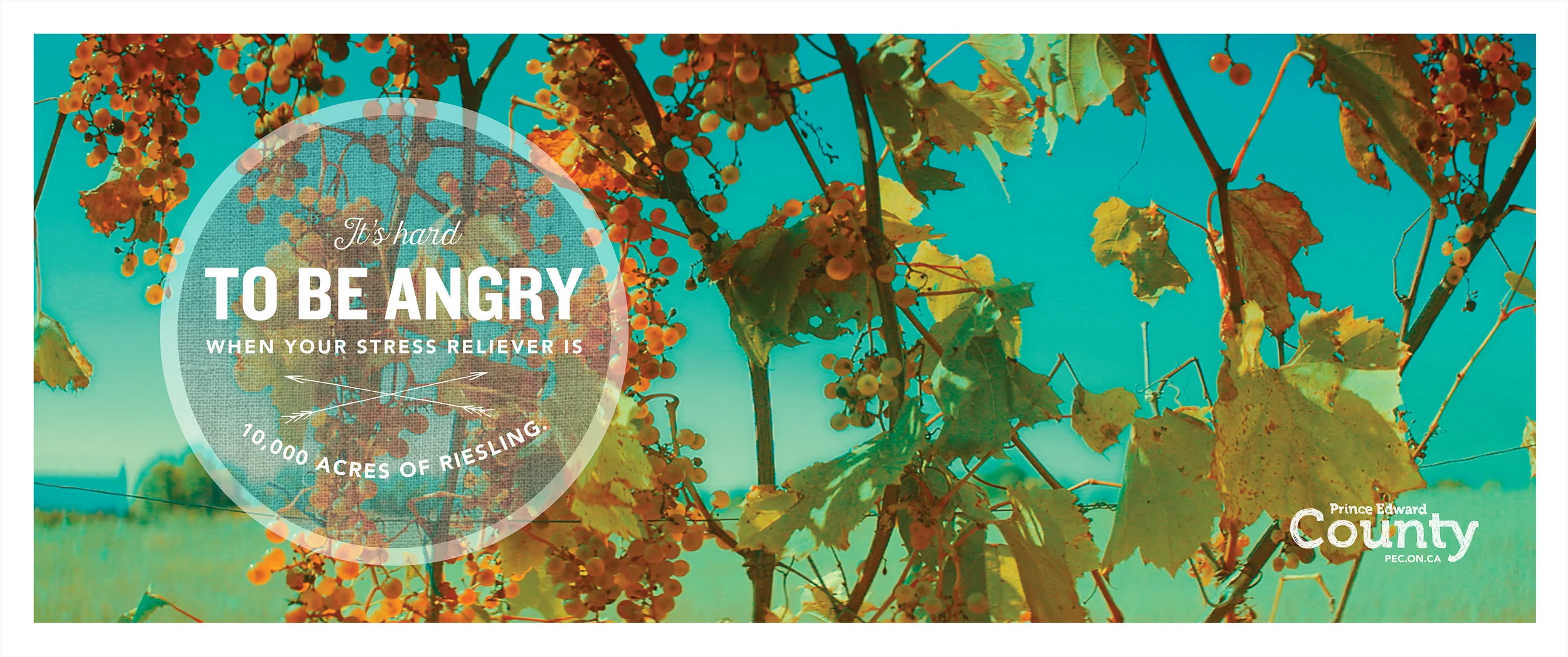 PEC Angry Square.jpg