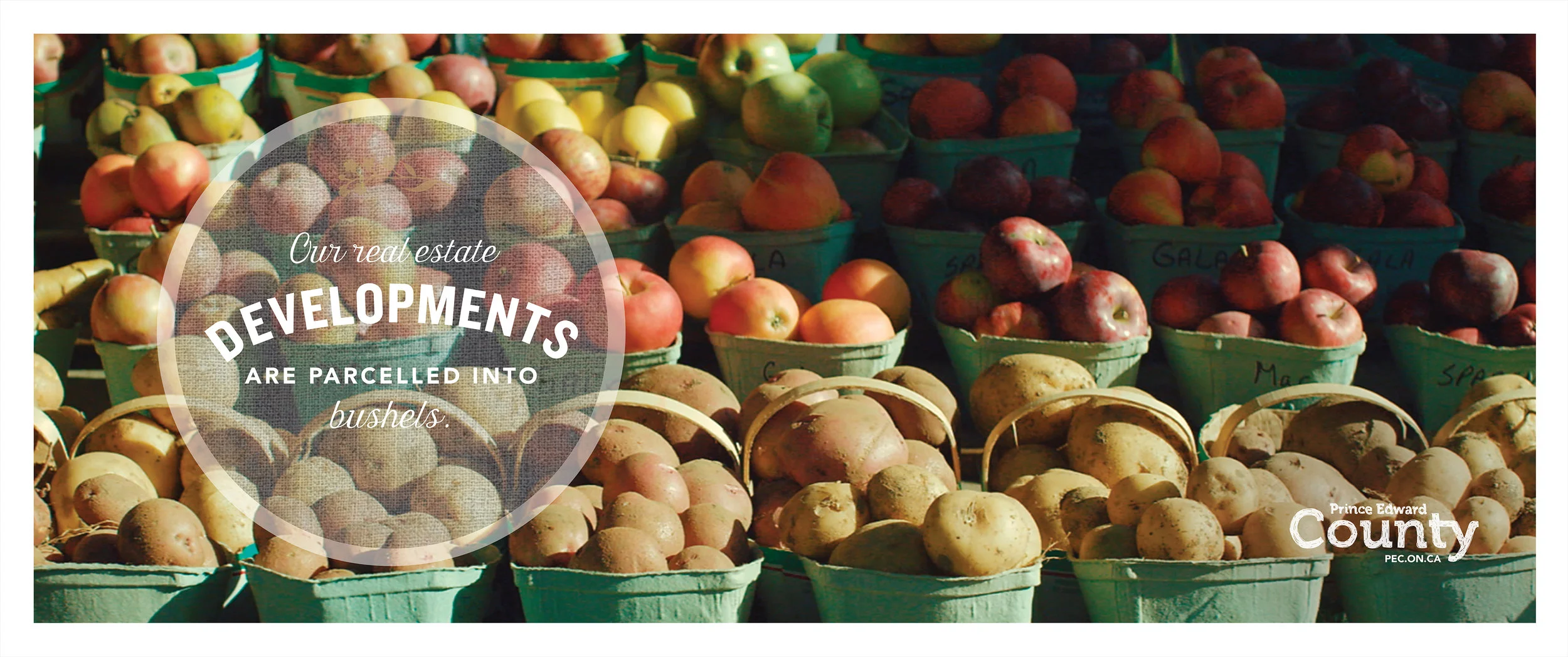 PEC delvelopments Square.jpg