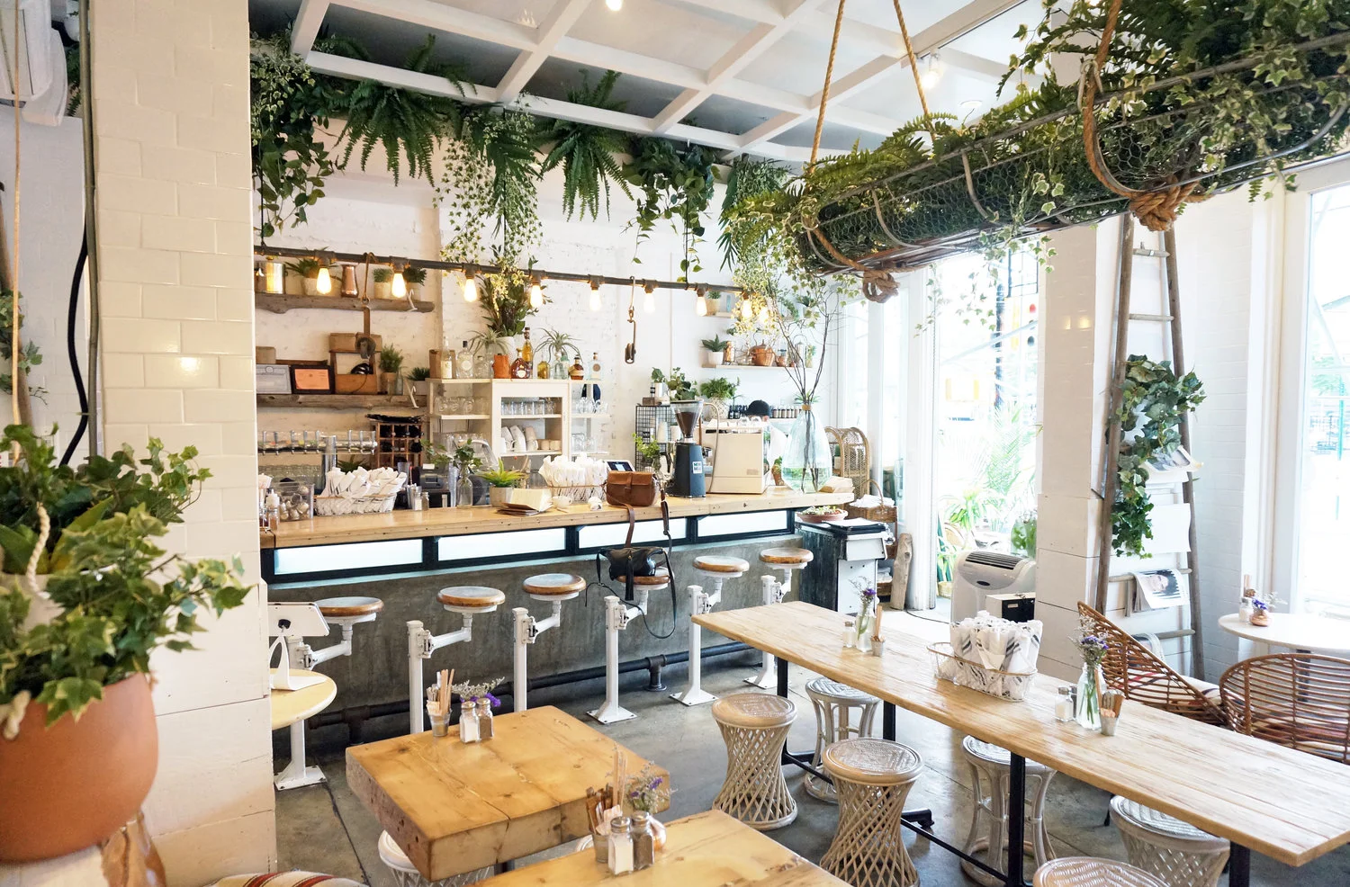   THE BUTCHER’S DAUGHTER   Assisted Lead Designer Heather Tierney of WANDERLUST 