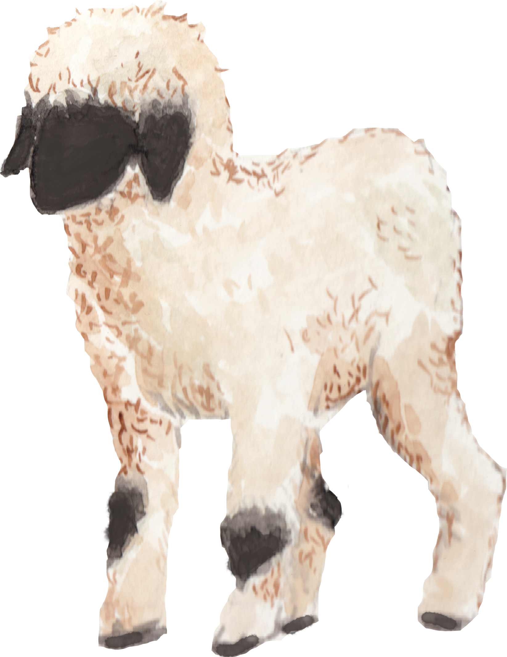 Lamb.png