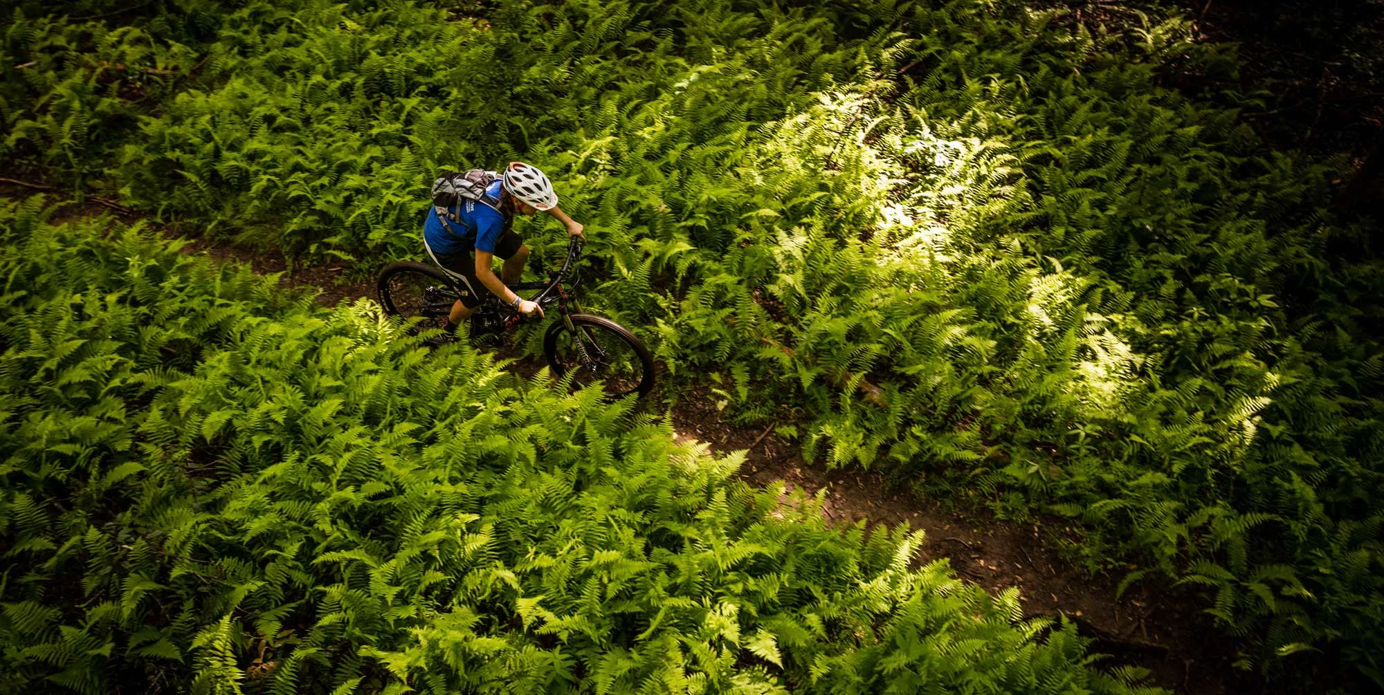 biking-at-the-bike-farm.jpg