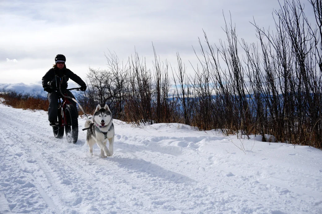 Cashion-Smith-and-Maya-Surlsmith-snow-biking-1-1040x693.jpg
