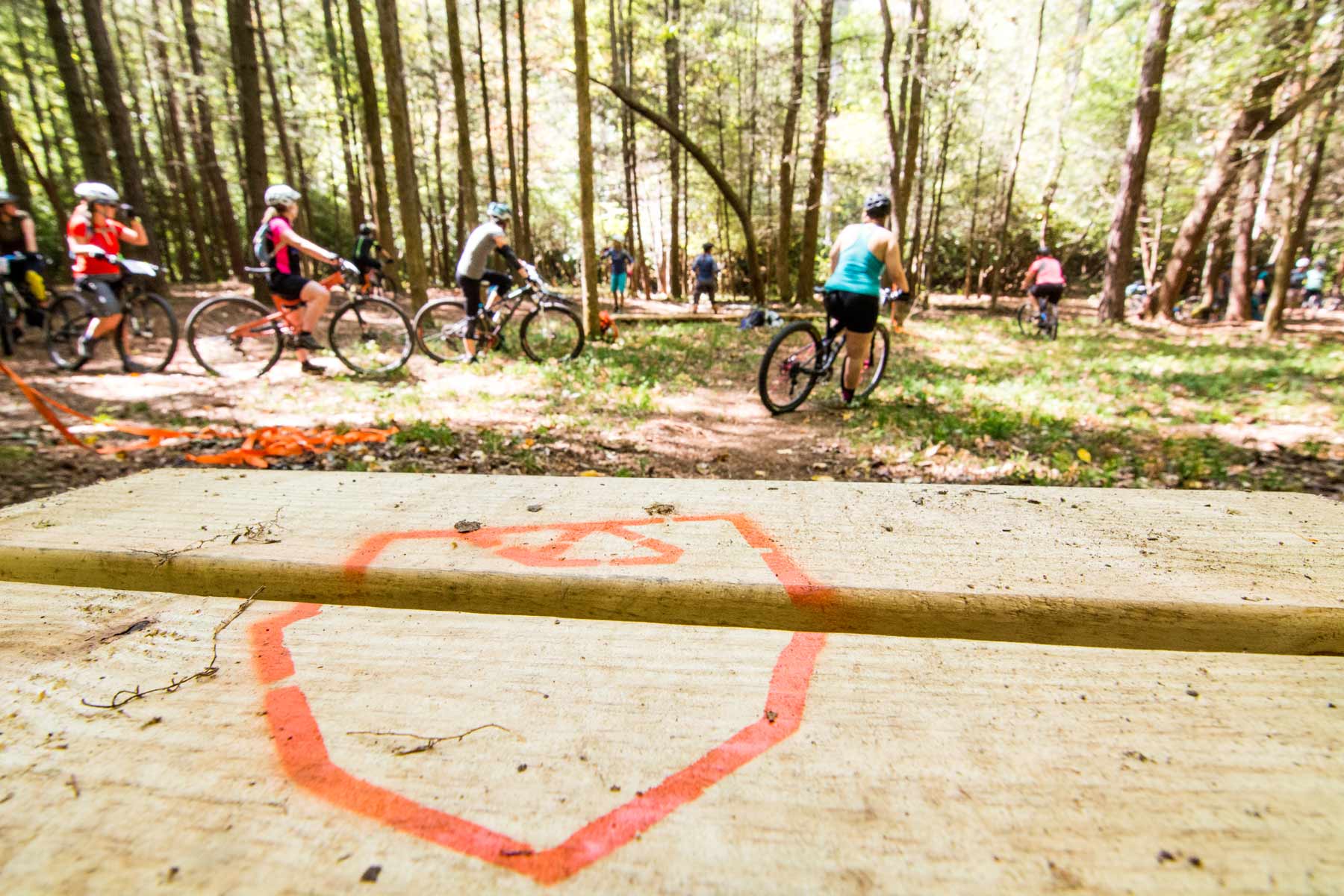 A group of mountain bikers in the Pisgah Forest in NC