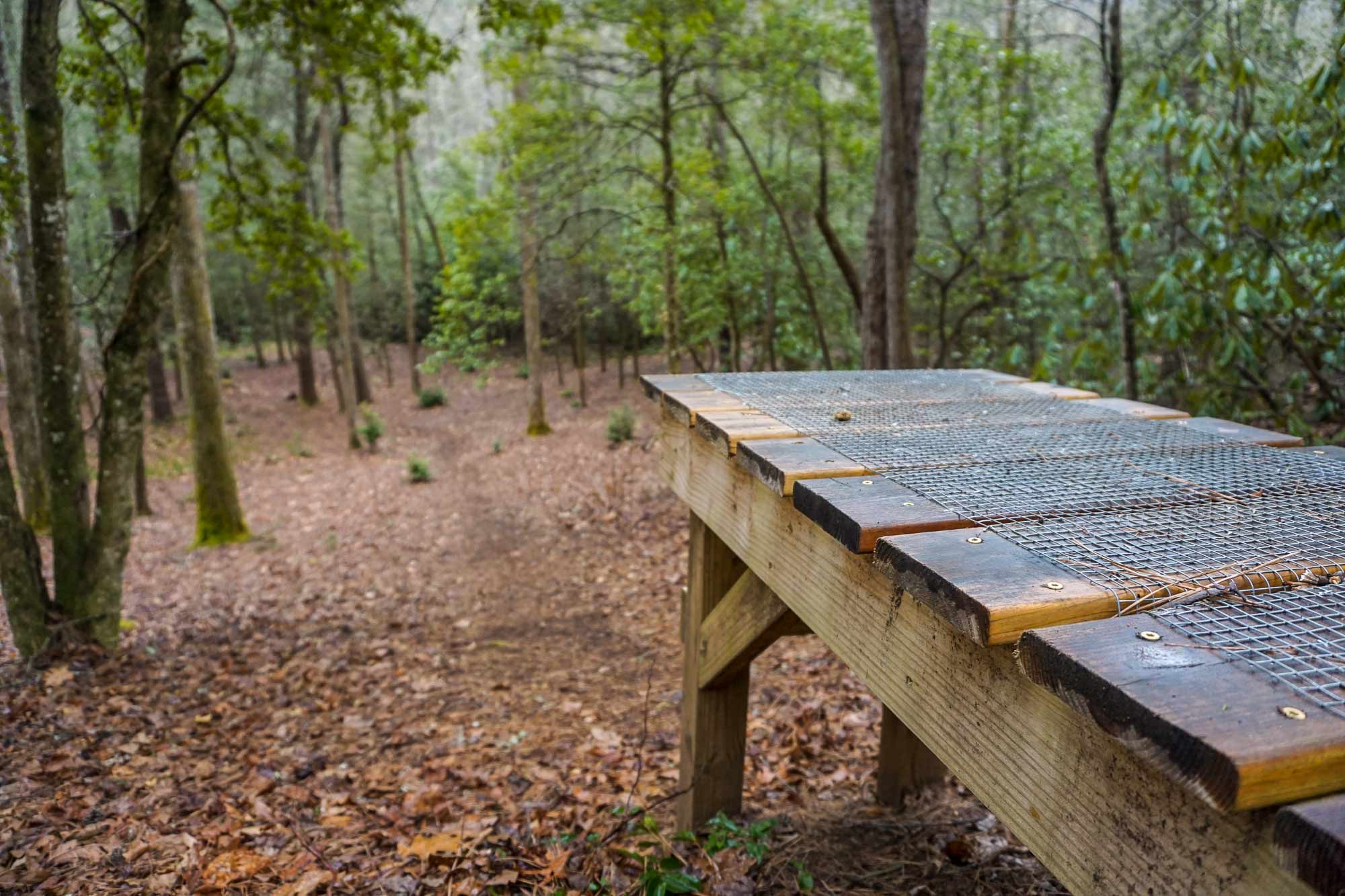 Wooden platform in the woods for mountain bike jumping