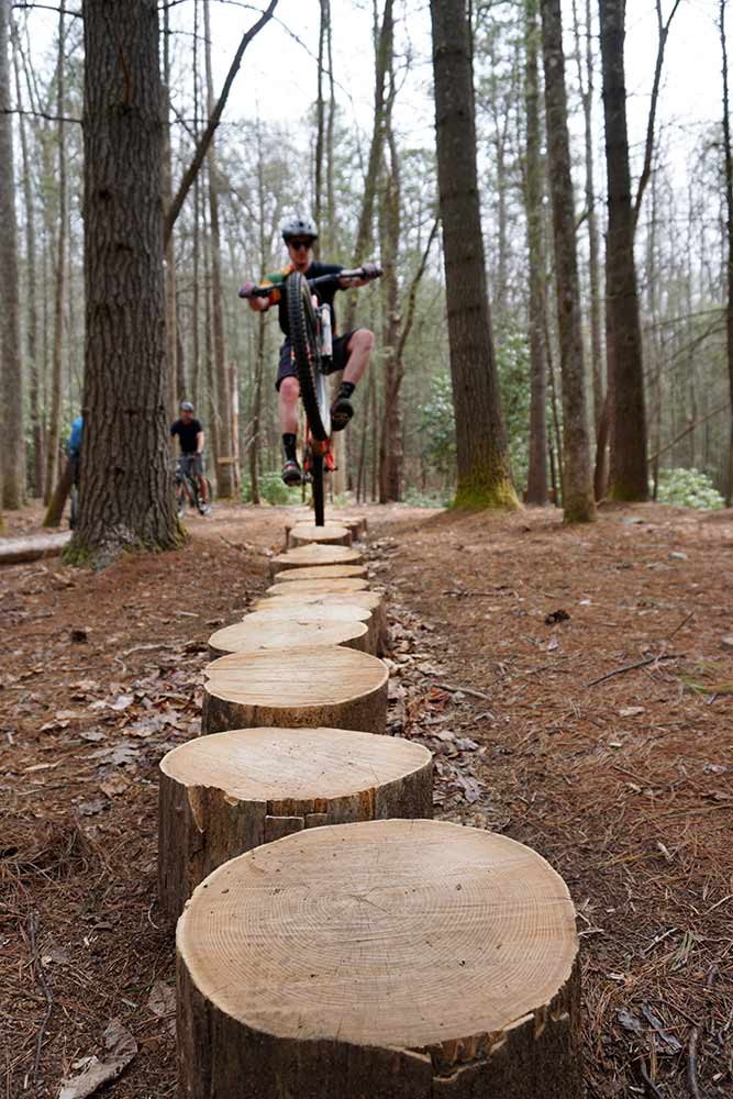 log-skinny.jpg