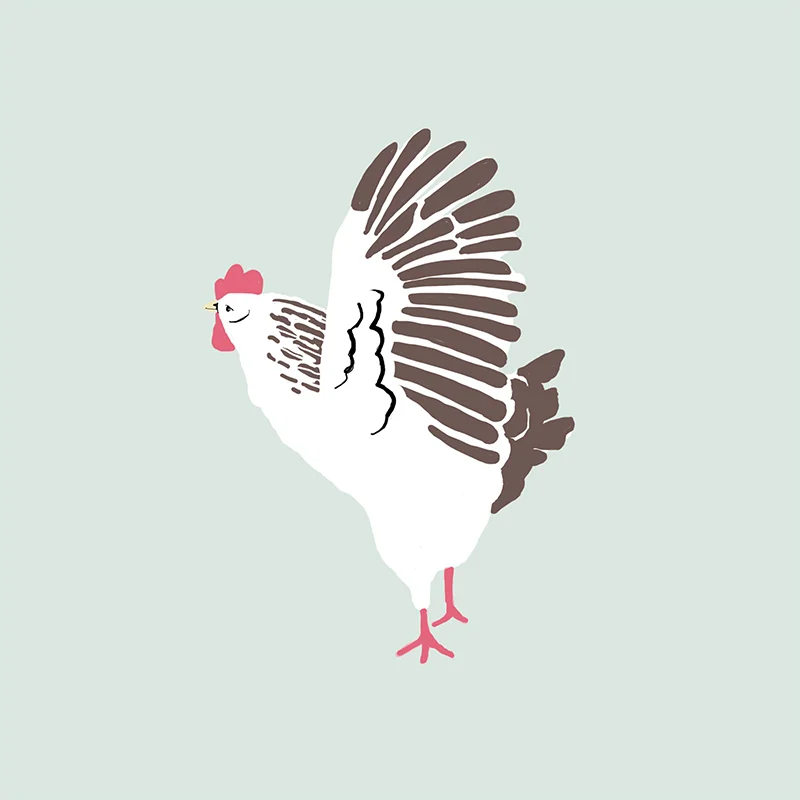 chicken.jpg