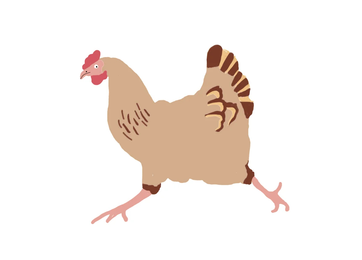chick illustration.jpg