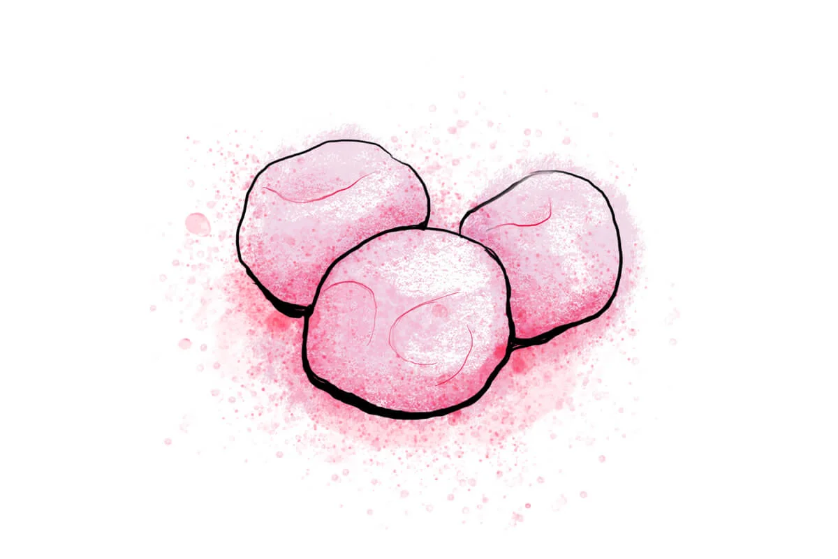 bon bons.jpg