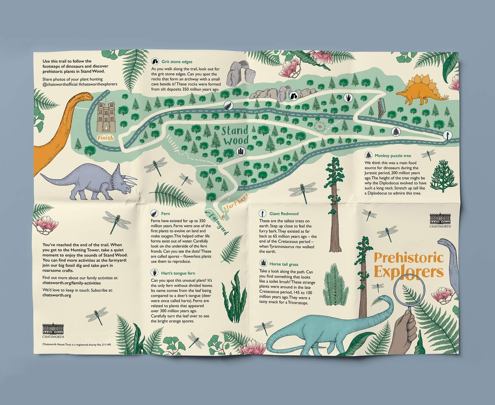 trail map illustrator+illustrative+designer.jpg