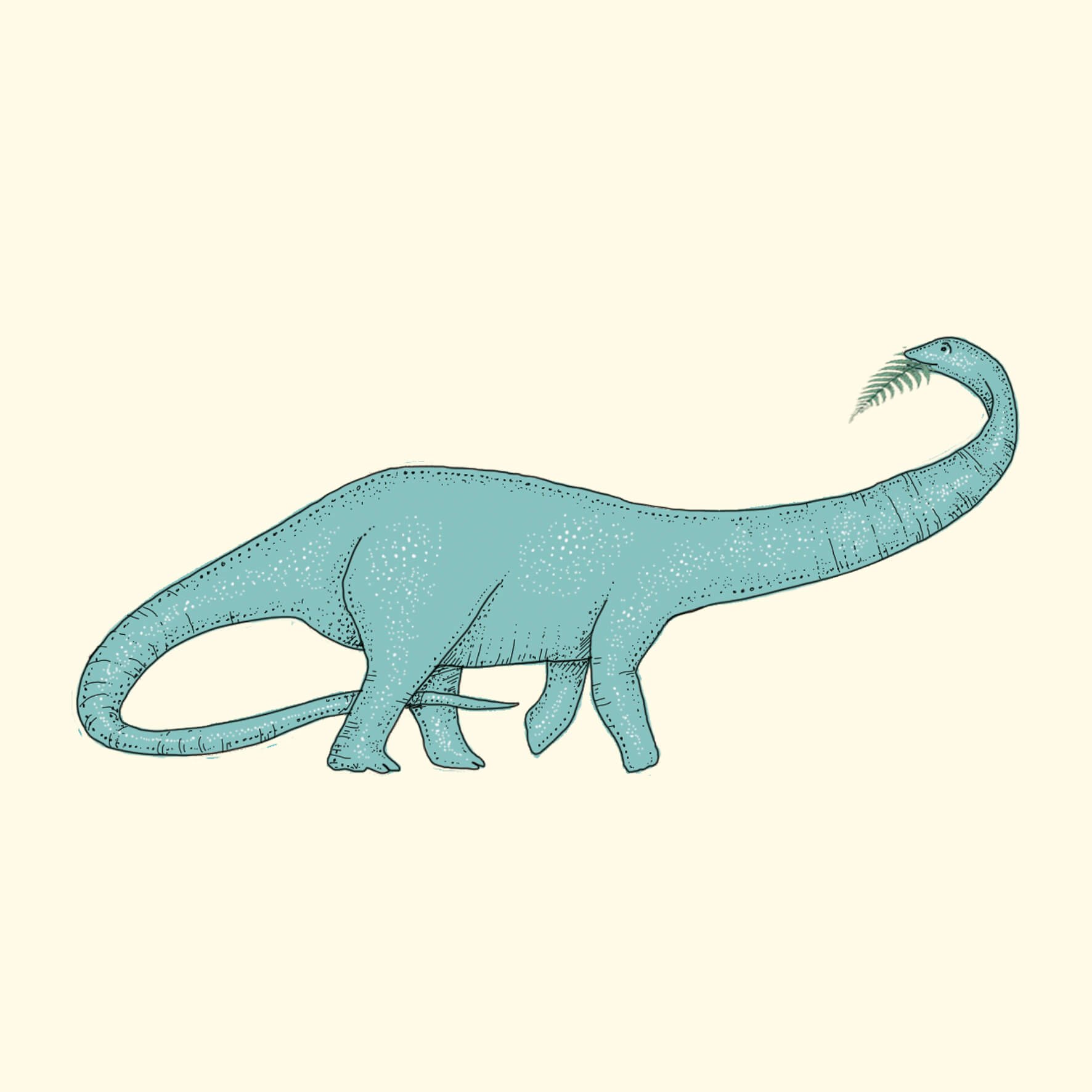diplodocus dinosaur illustration.jpg