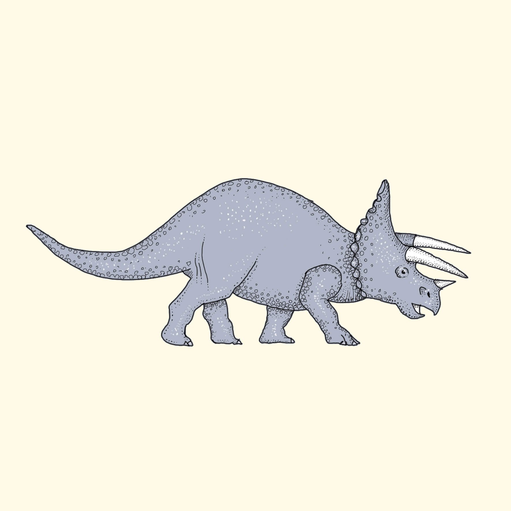 triceratops dinosaur illustration.jpg