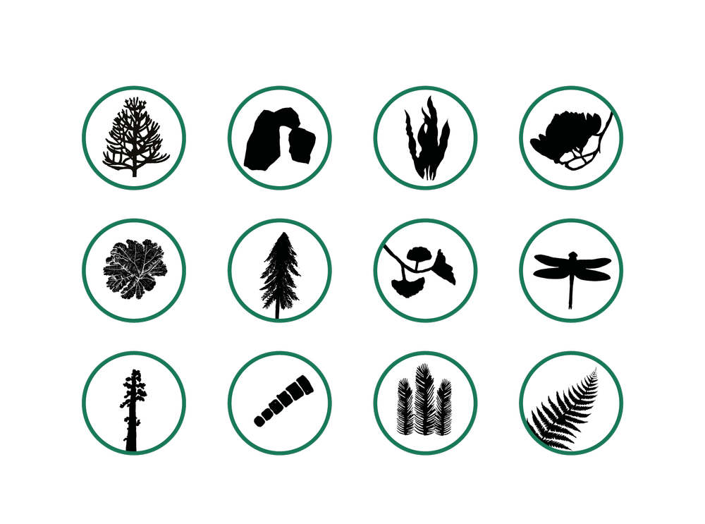 plant explorer icons B.png