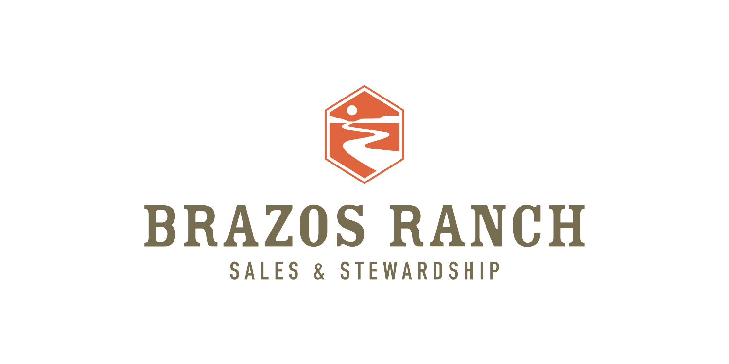 brazos-01 2.png