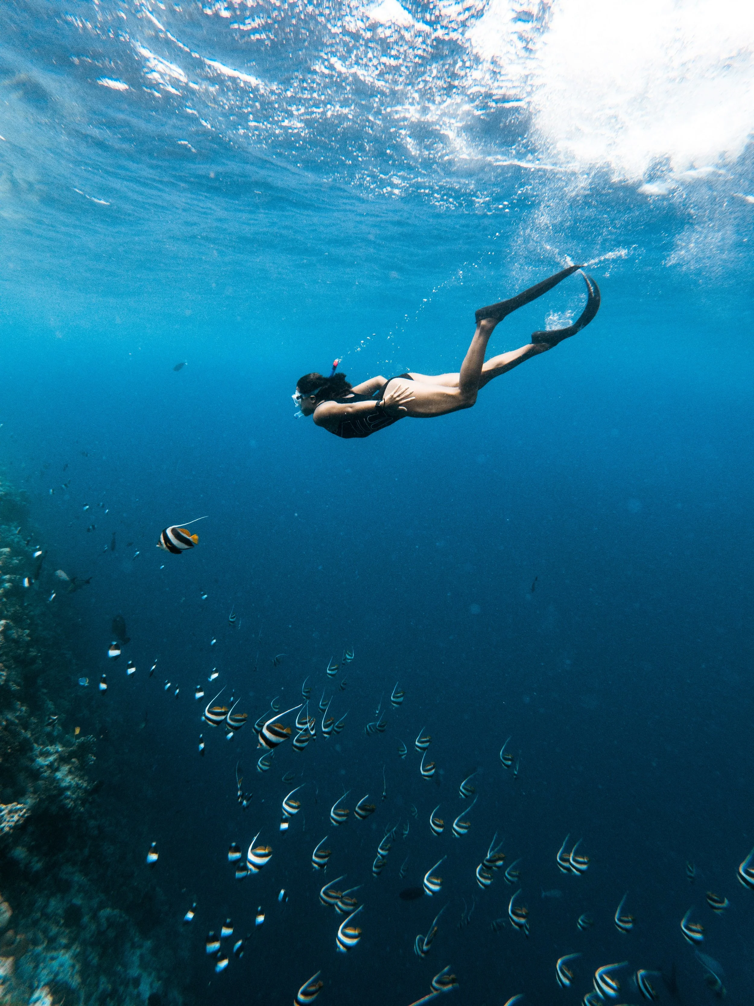 snorkeling.jpg