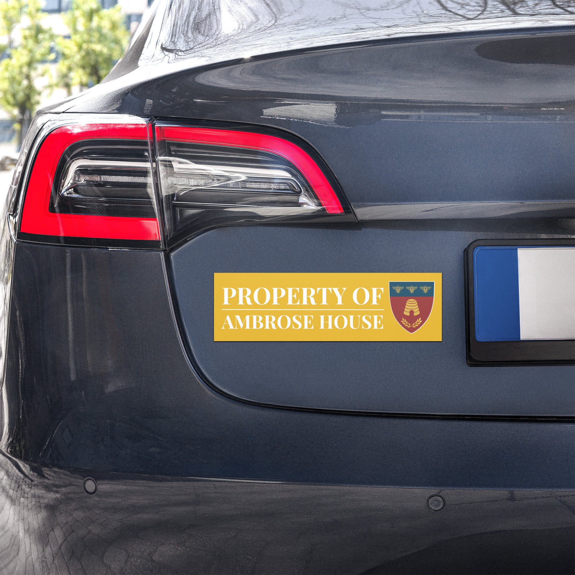 car-magnets-white-10x3-front-686c15e727ef4.jpg