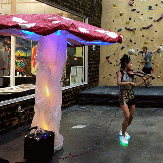 Brooklyn Boulders Somerville