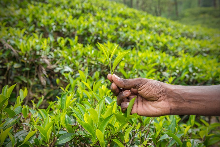 December Newsletter - Setting Out Together