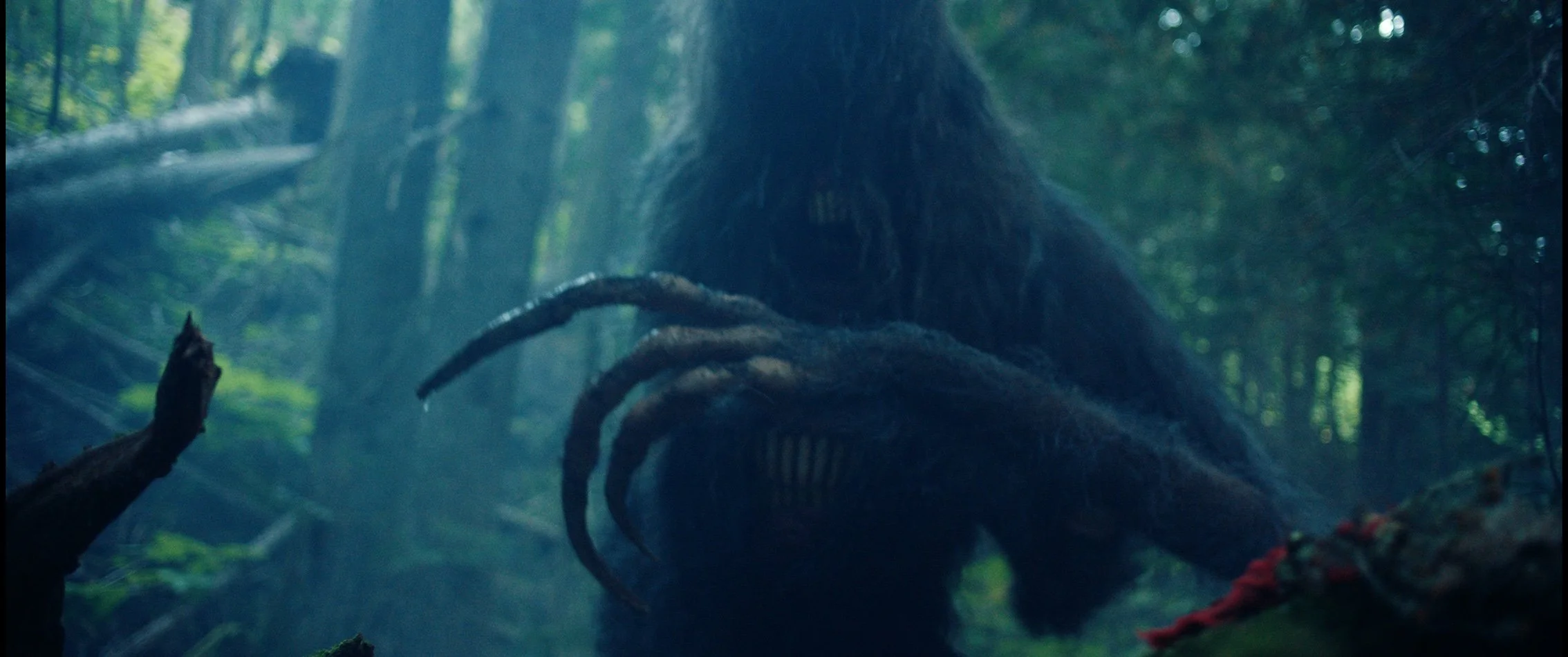 krypto_4096x1716_rec709_with_lut.1609760TS copy.jpg