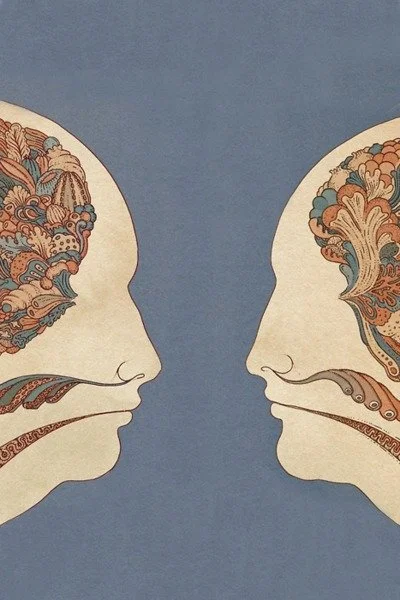 Connection and Curiosity 