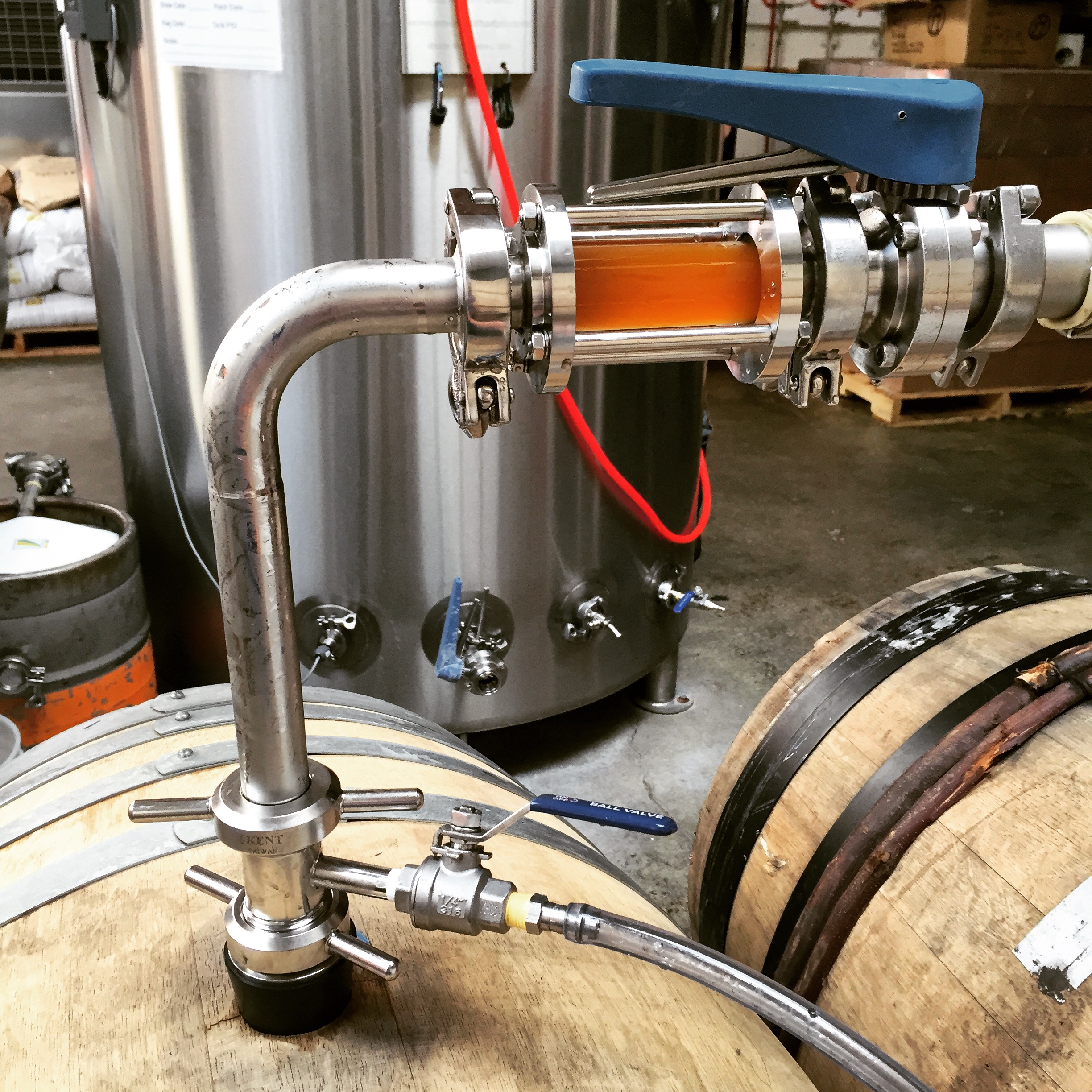 Racking beer in to barrels
