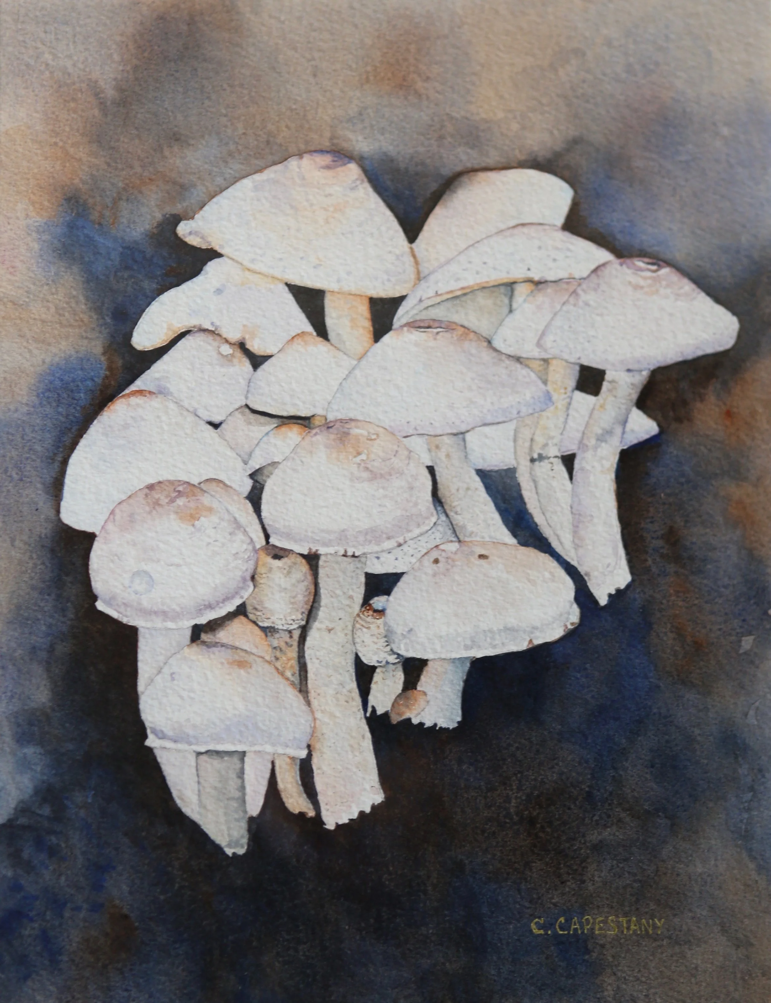 Stepping Out into the Light