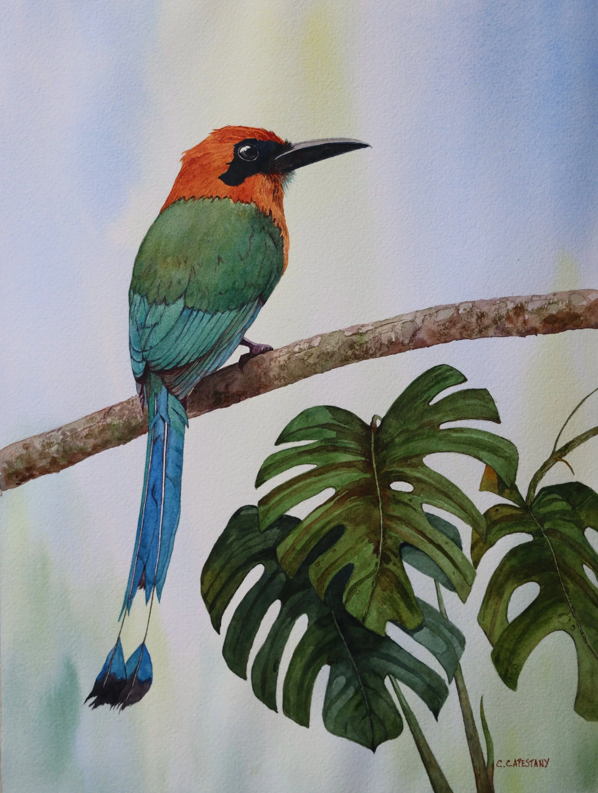 Watching and Waiting 