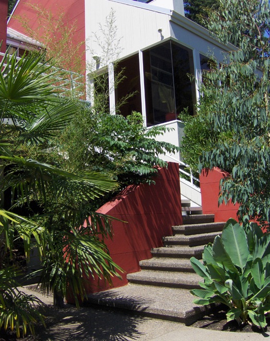 Tropical stairs.jpg