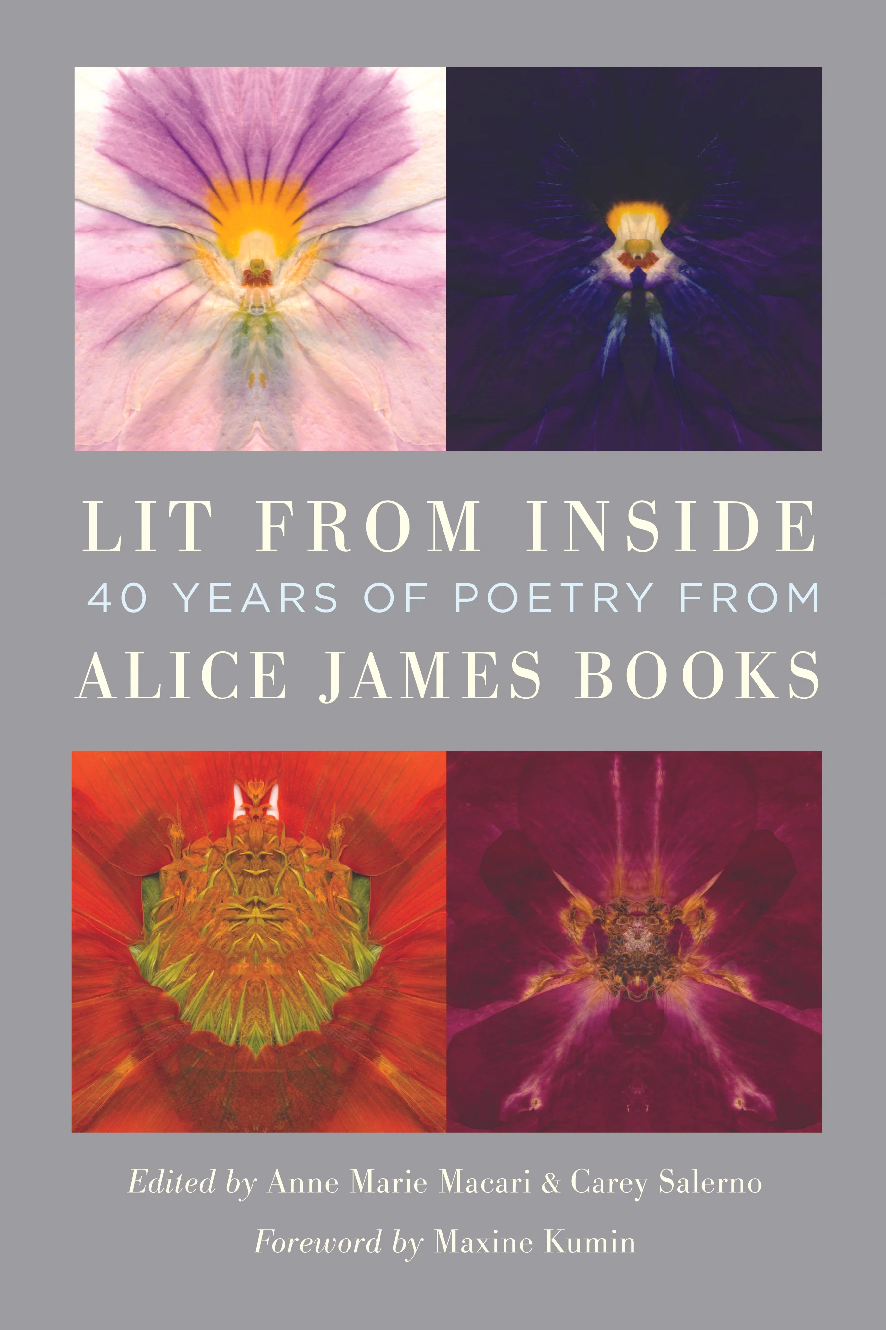 LitFromInside_frontcover_hires.jpg