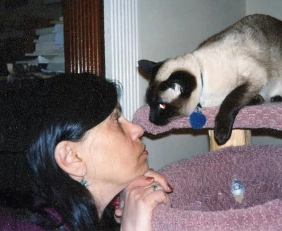 In Memoriam: Poet and UMass-Boston Faculty Helene Davis (1948-2018)